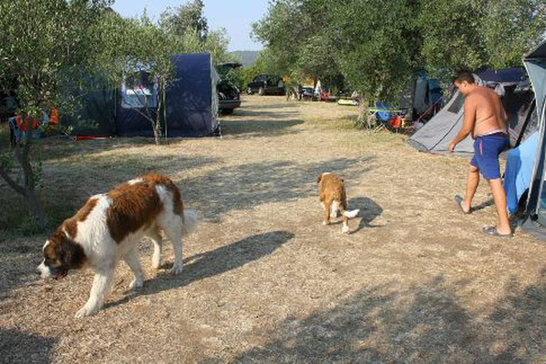 Autocamp Kero photo 3