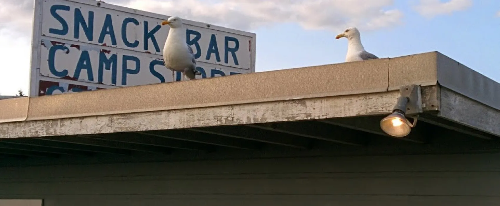 Hermit Island Campground