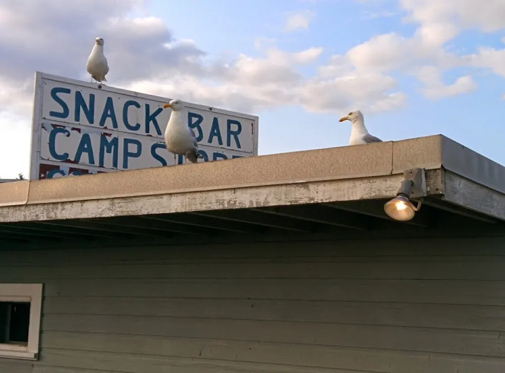 Hermit Island Campground