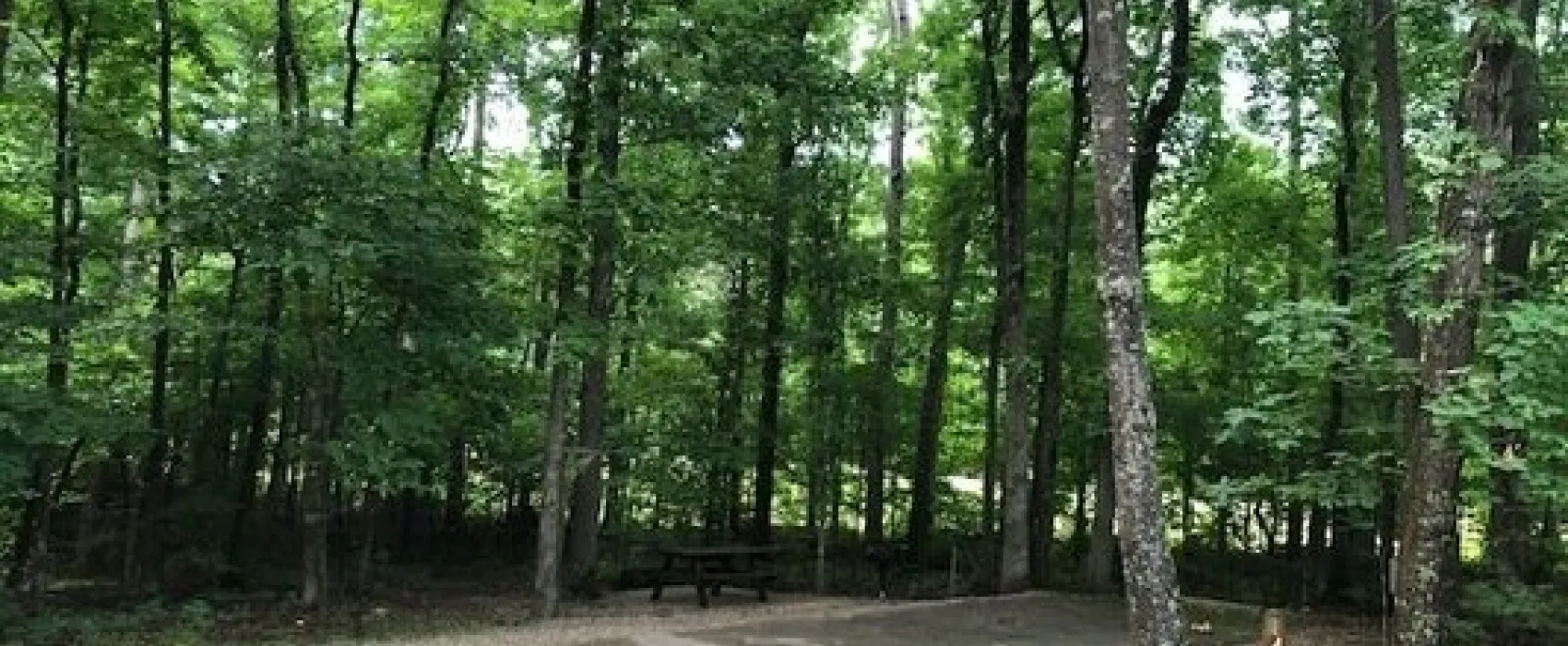 Pickwick Dam Campground