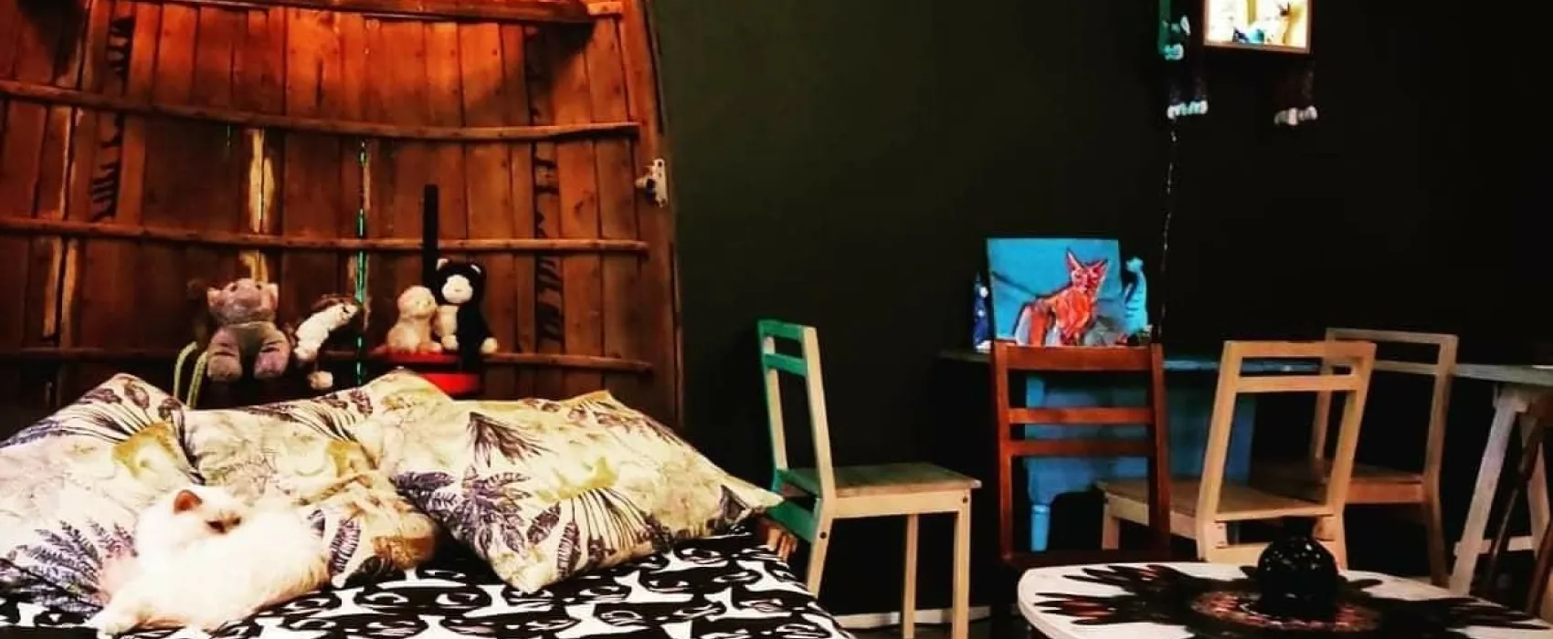 Kissakahvila Tiramisu