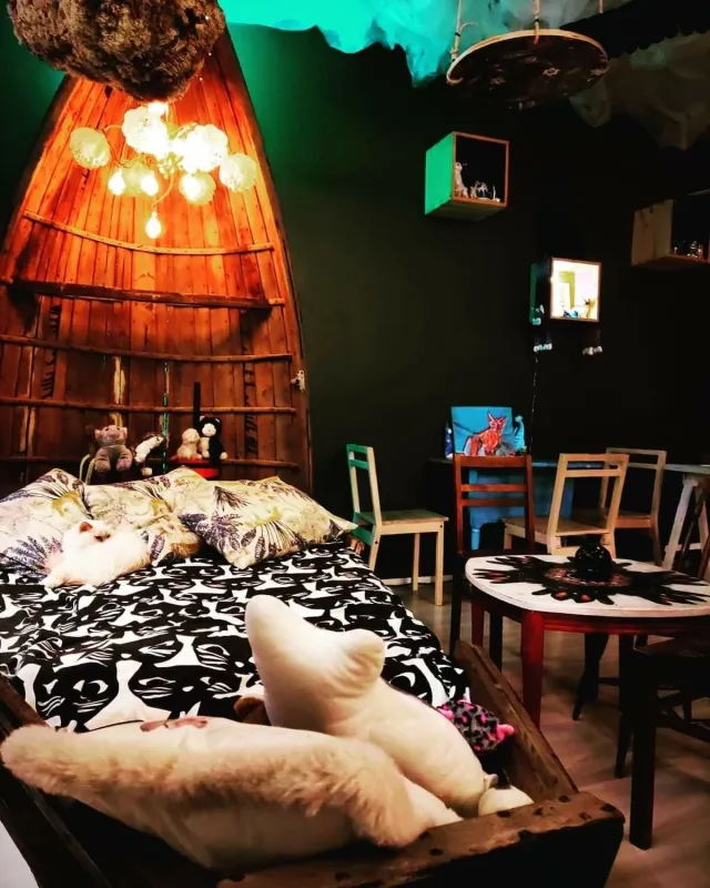 Kissakahvila Tiramisu