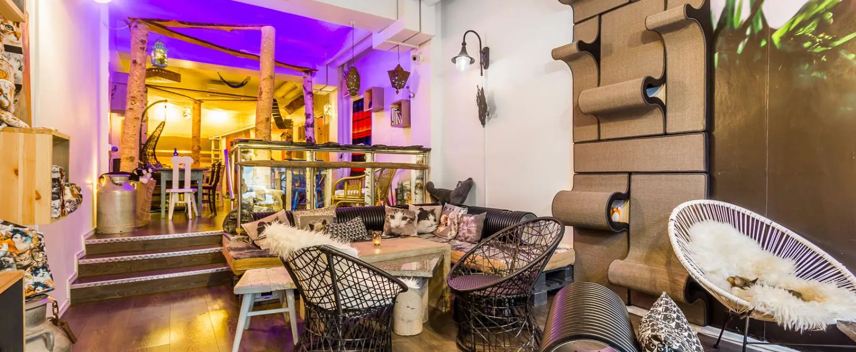 Kissakahvila Tiramisu