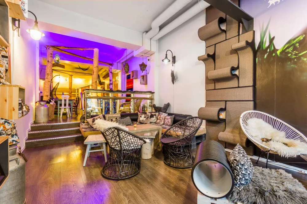 Kissakahvila Tiramisu