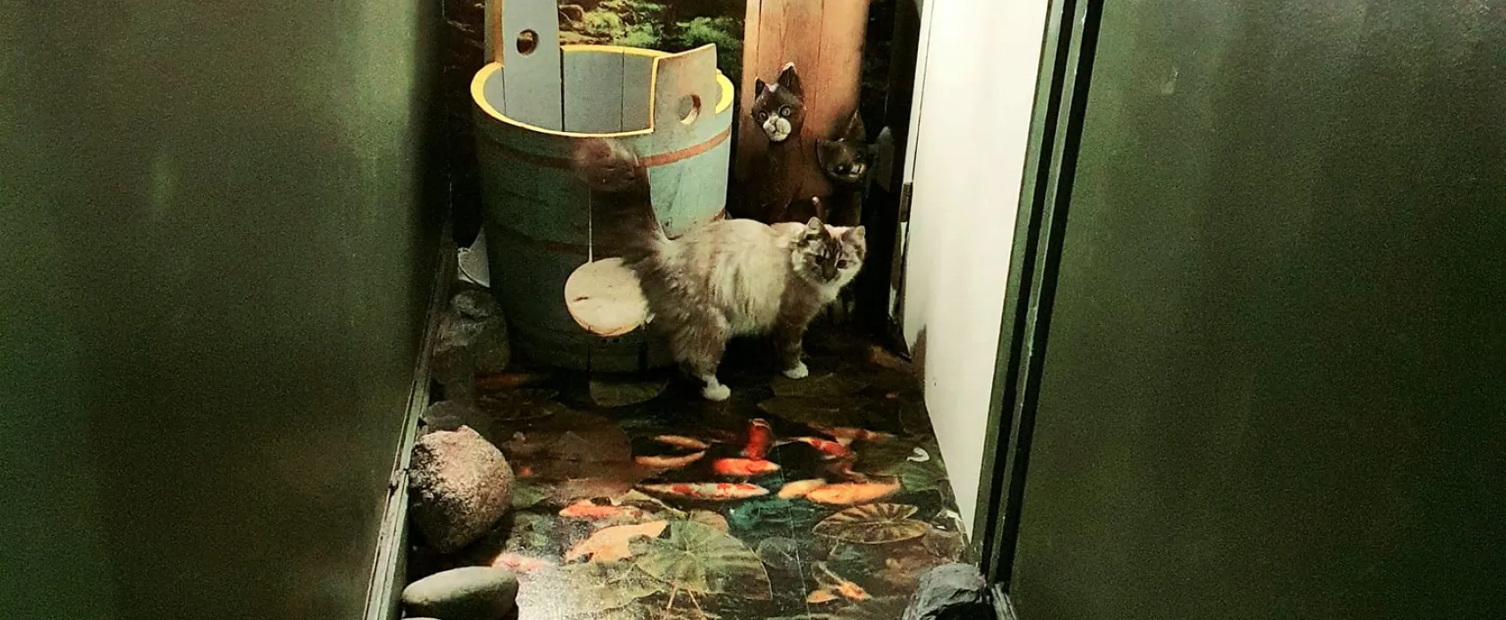 Kissakahvila Tiramisu