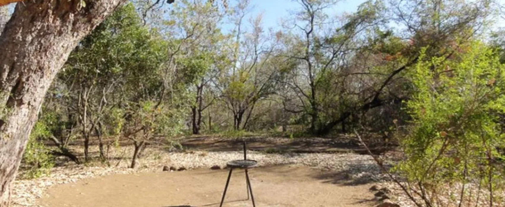 Bateleur Bushveld Camp