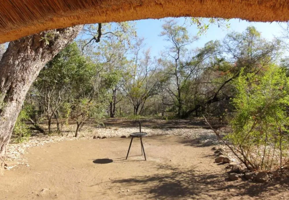 Bateleur Bushveld Camp