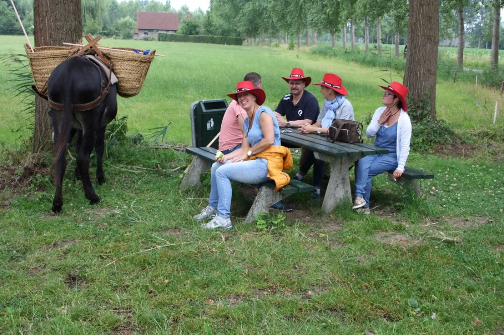 en Camperplaats 't Skônste Plekske (Minicamping)