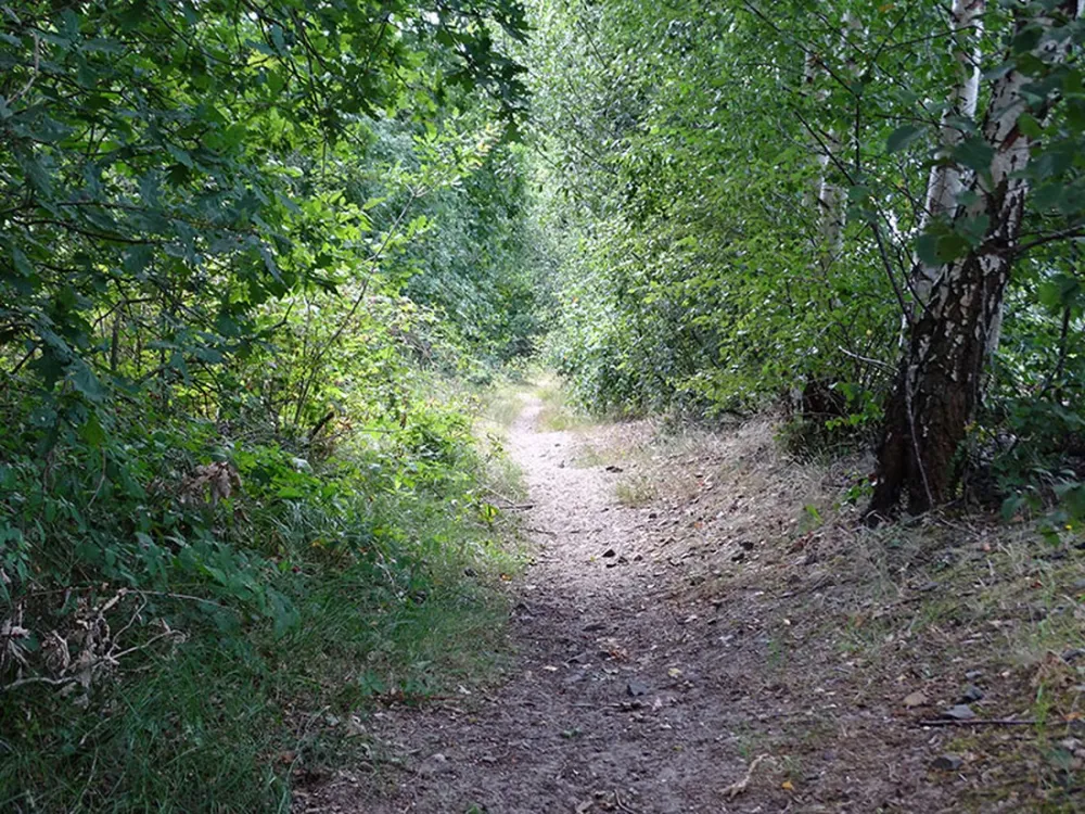 en Camperplaats 't Skônste Plekske (Minicamping)