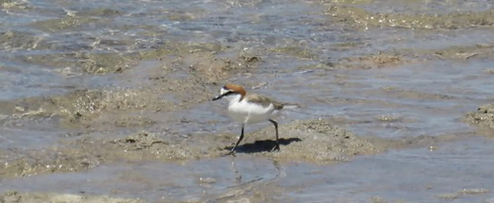 Cable Bay Campground