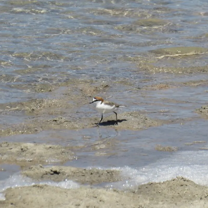 Cable Bay Campground