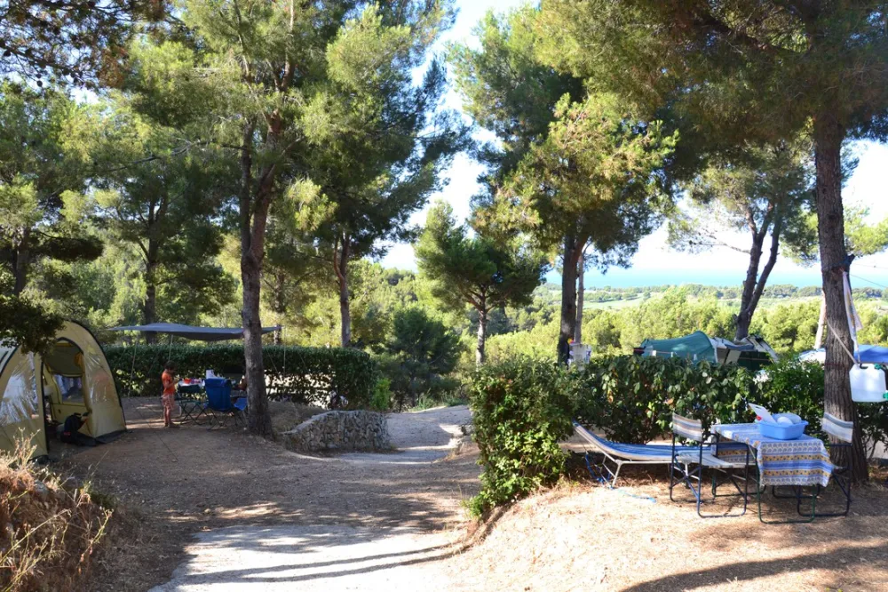 Clos Sainte Thérèse