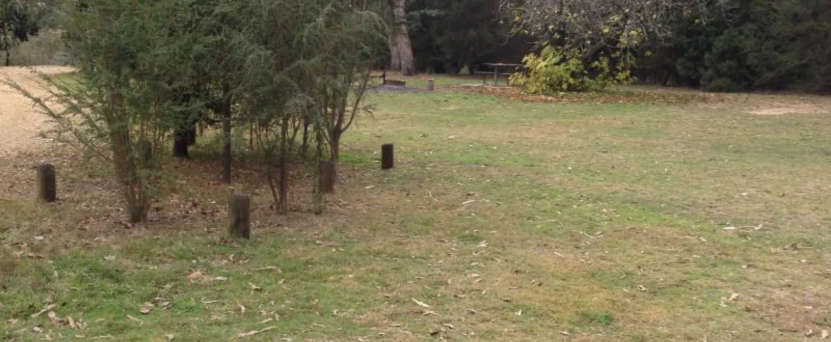 Cottontree Campground