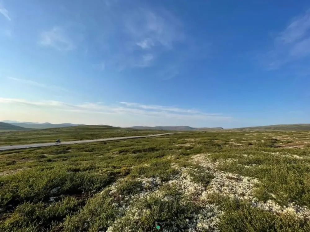 Friisvegen Turistsenter Måsåplassen