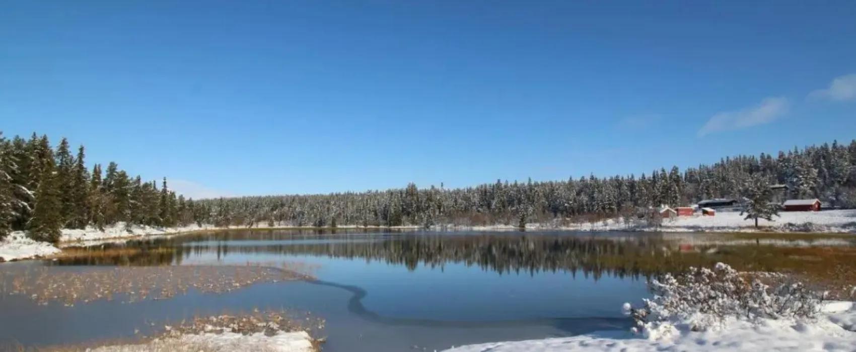 Friisvegen Turistsenter Måsåplassen