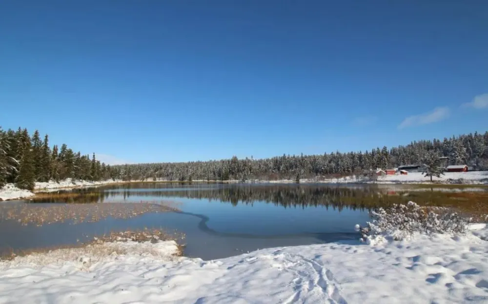 Friisvegen Turistsenter Måsåplassen