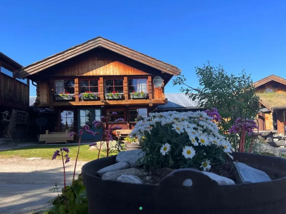 Friisvegen Turistsenter Måsåplassen