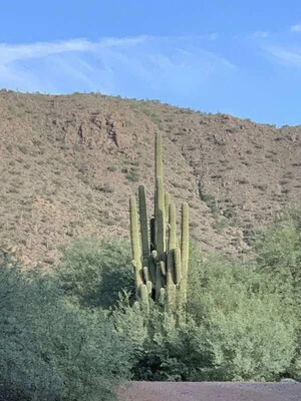 Shores Recreation Site