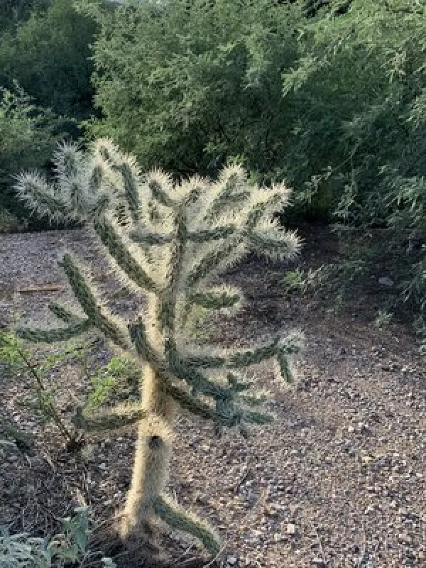 Shores Recreation Site