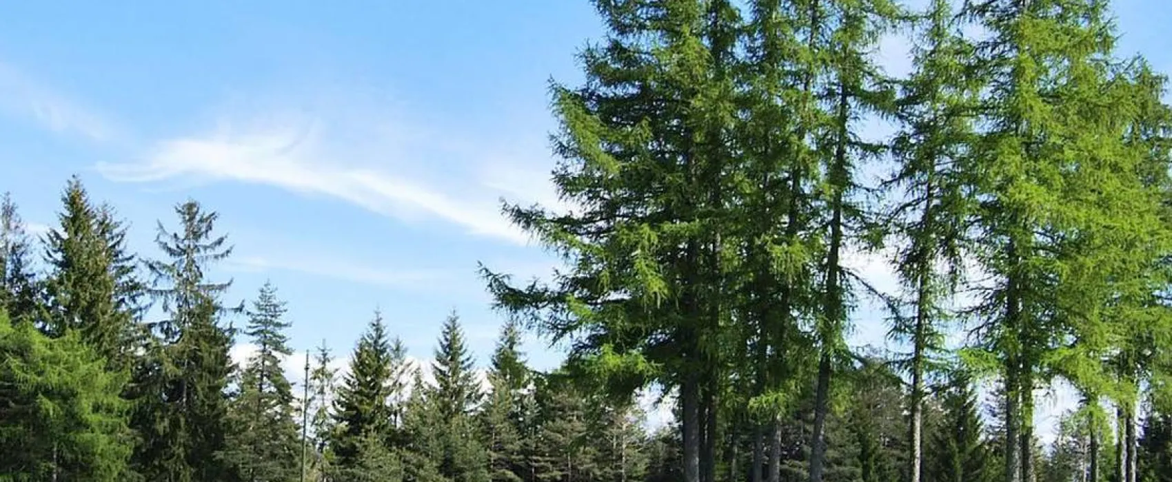 Camping Chalet Natur Idyll Salten