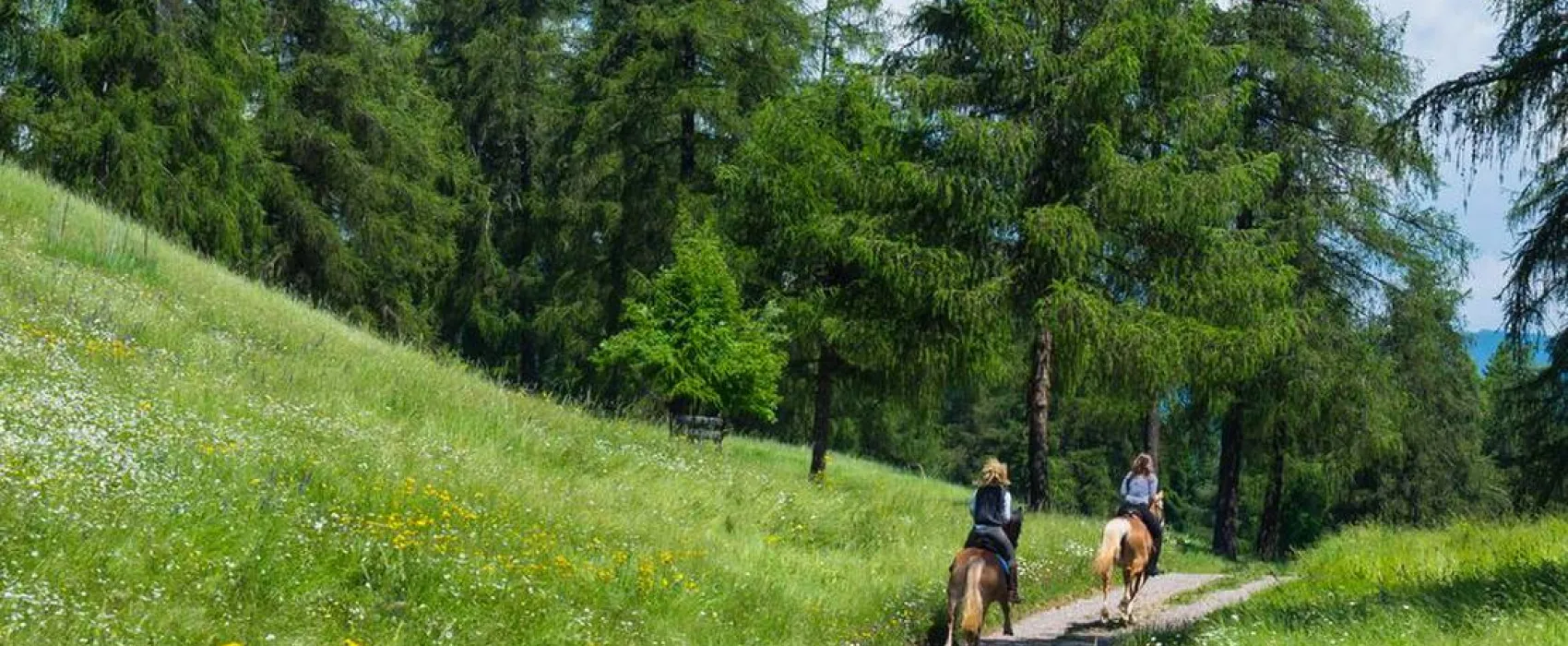 Camping Chalet Natur Idyll Salten