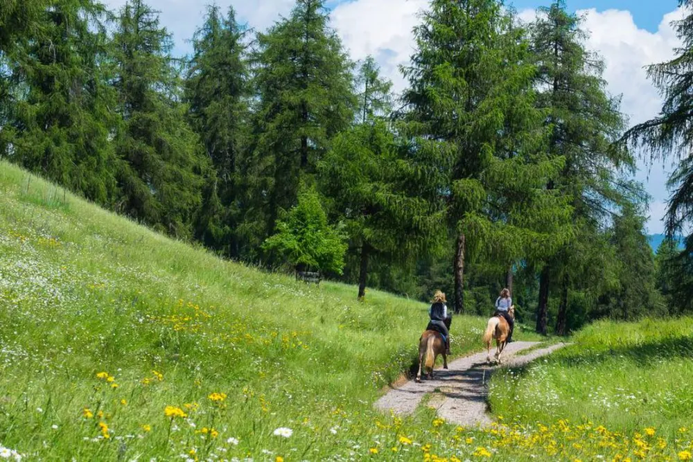 Camping Chalet Natur Idyll Salten