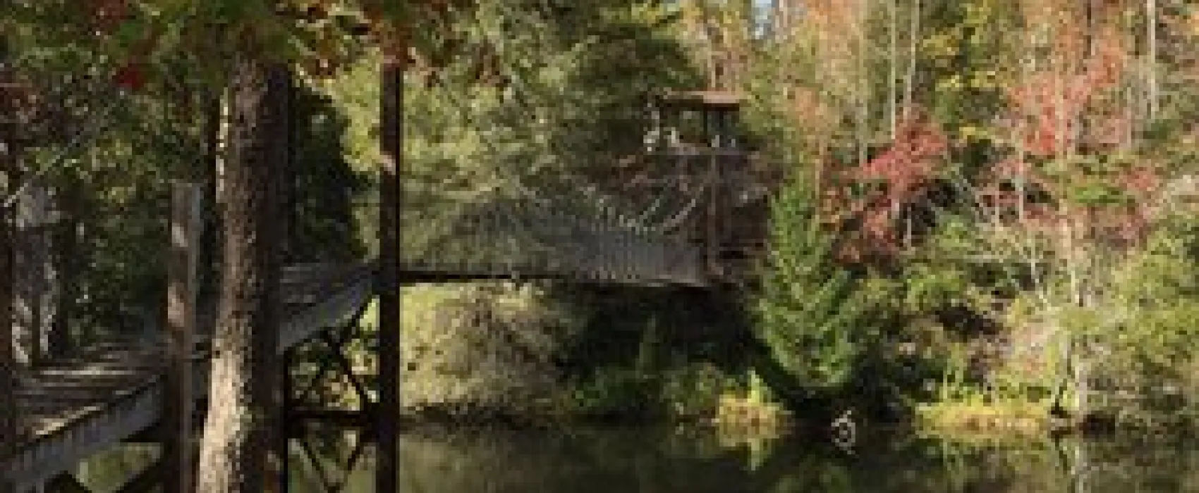 Pickett CCC Memorial State Park Campground