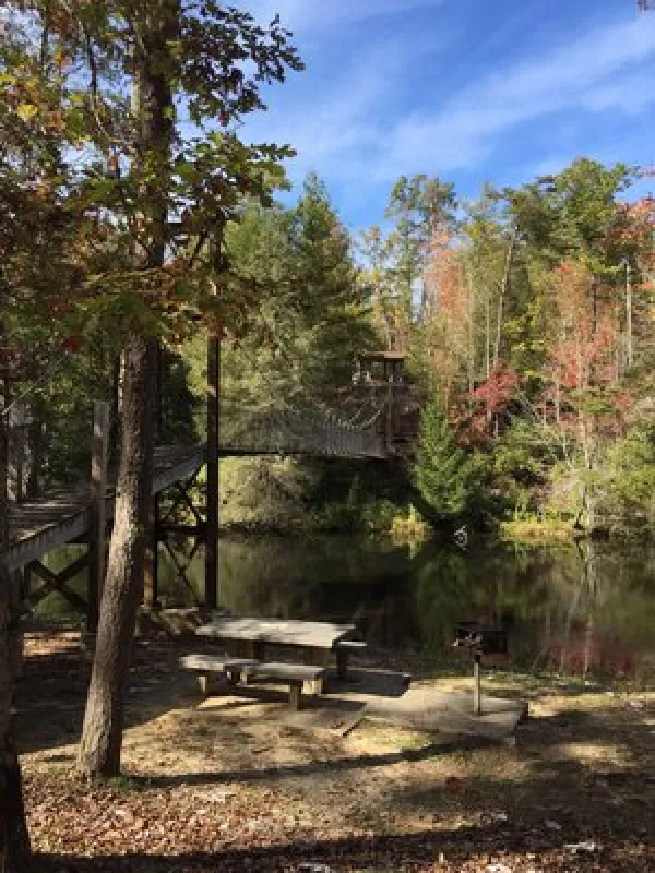 Pickett CCC Memorial State Park Campground