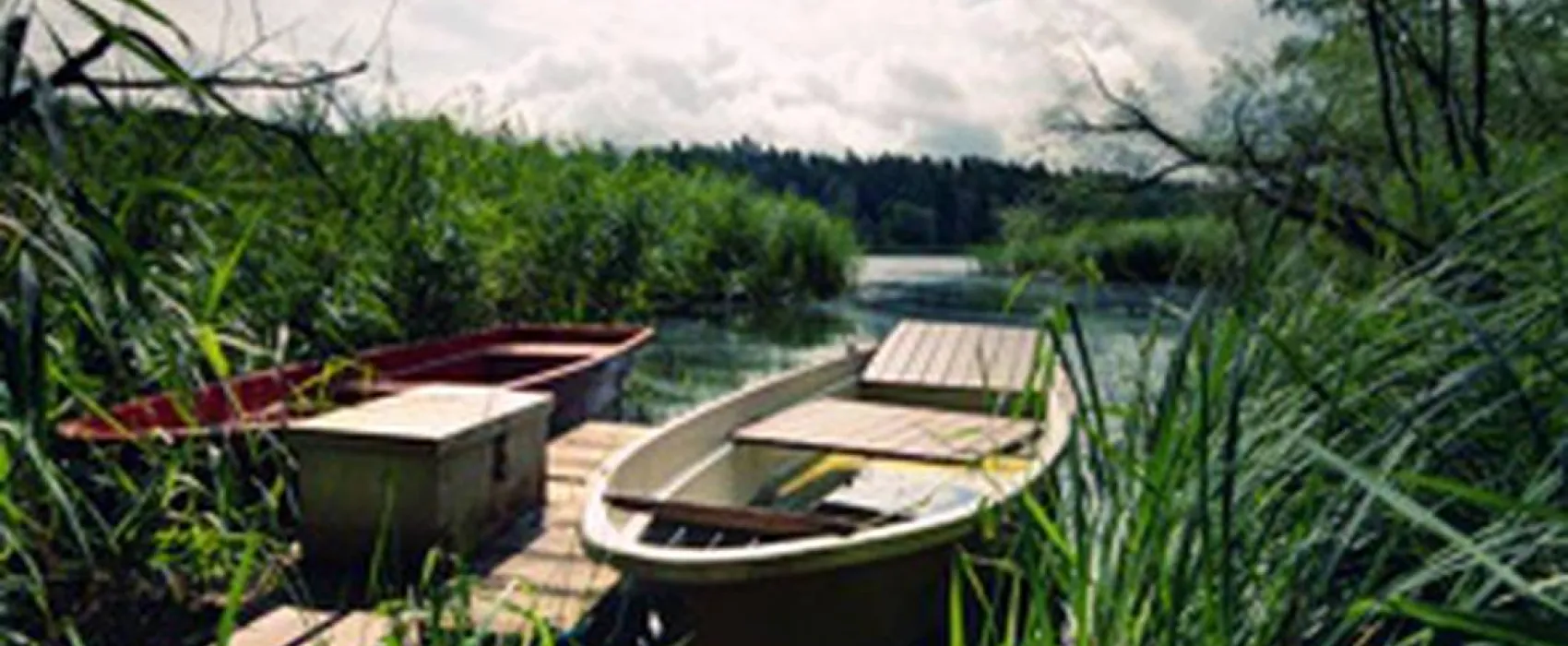 Naturcampingplatz Möhlauer See