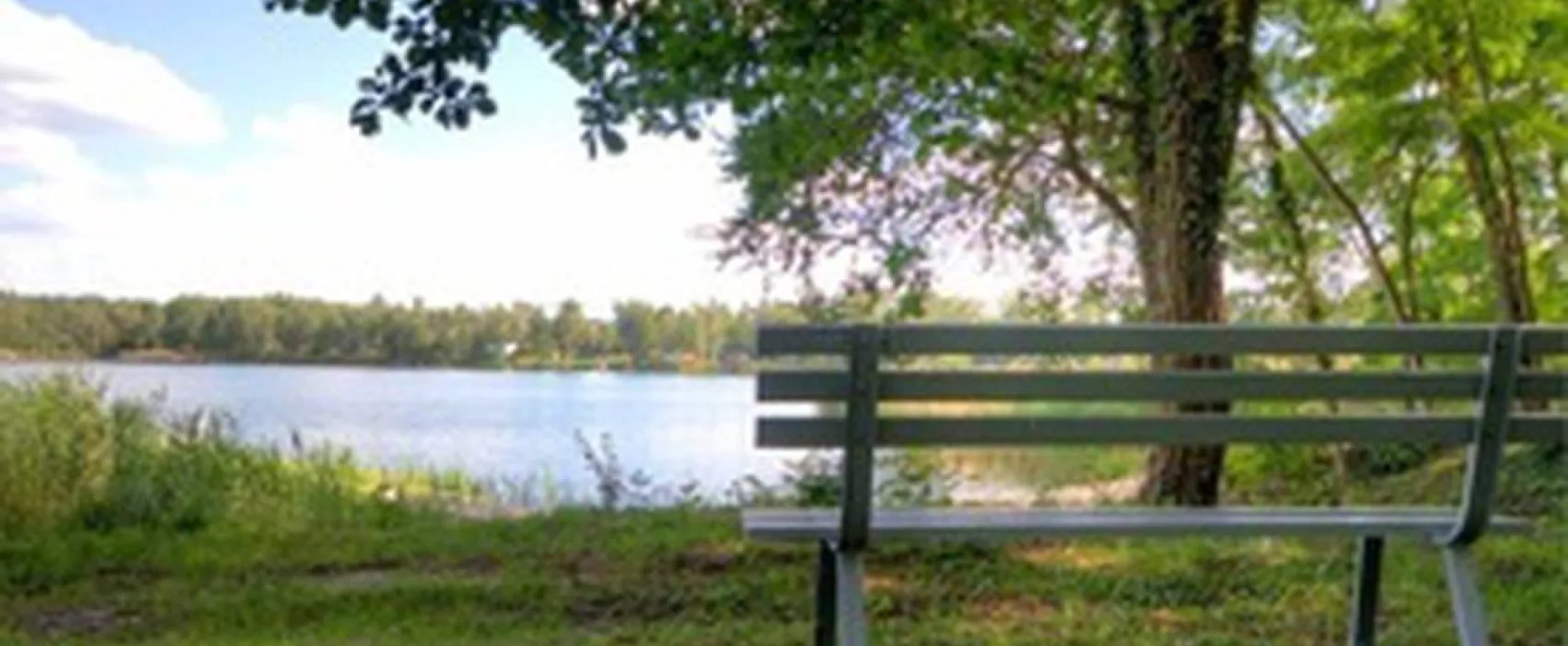 Naturcampingplatz Möhlauer See