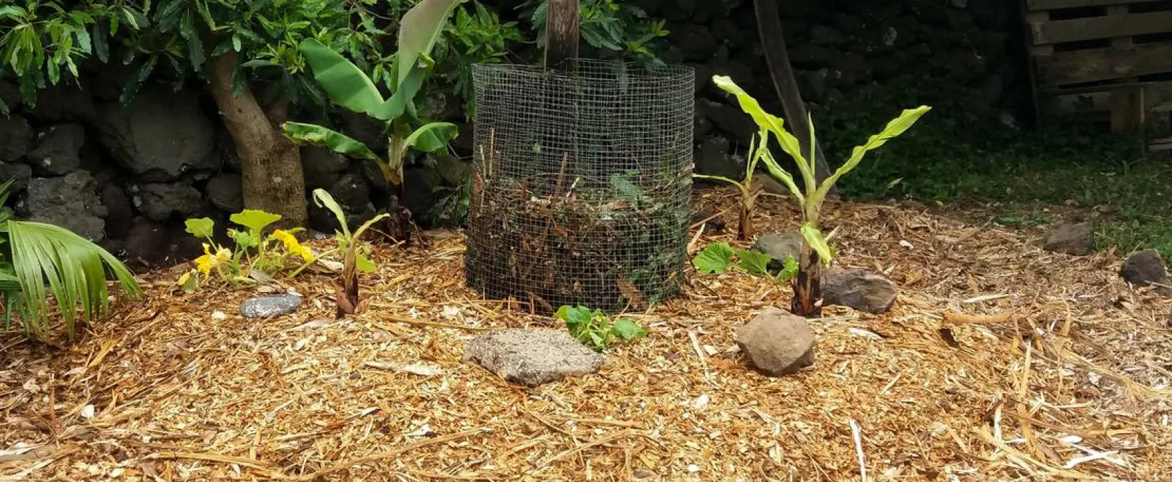 AbbyVille - Romantic Eco Camp