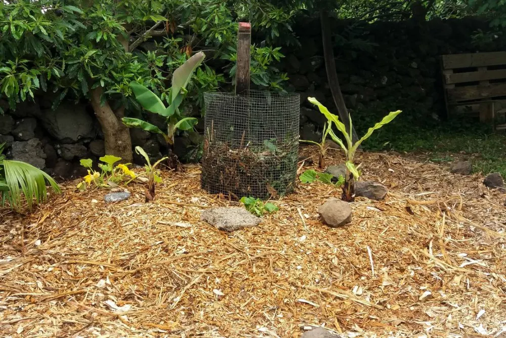 AbbyVille - Romantic Eco Camp