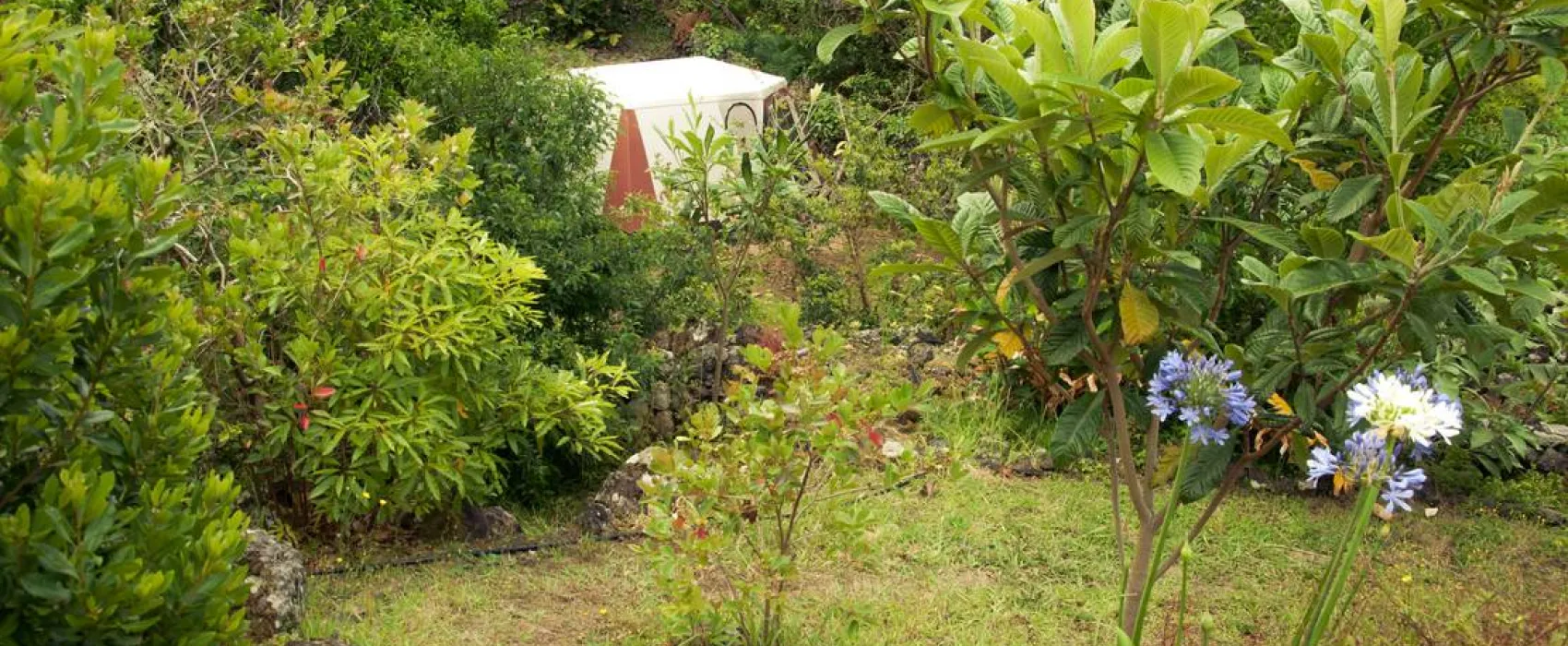 AbbyVille - Romantic Eco Camp