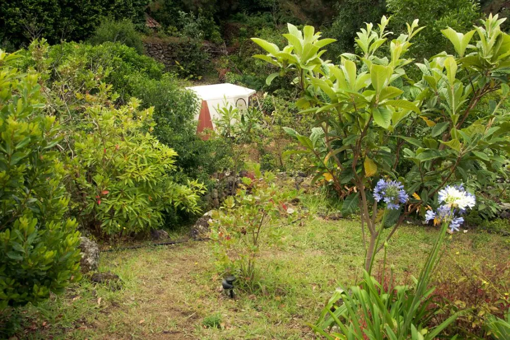 AbbyVille - Romantic Eco Camp