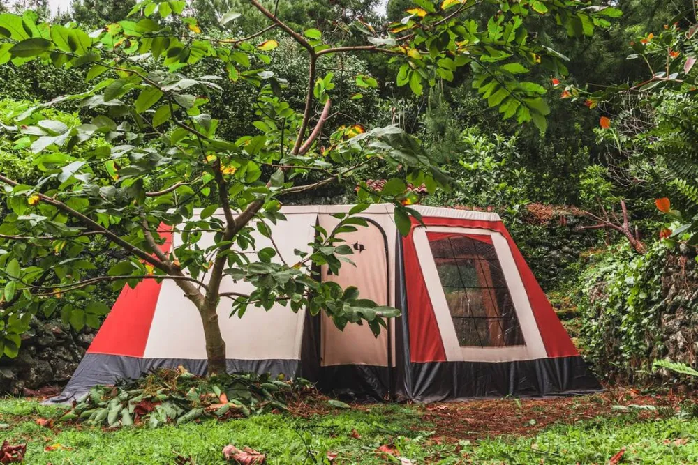 AbbyVille - Romantic Eco Camp