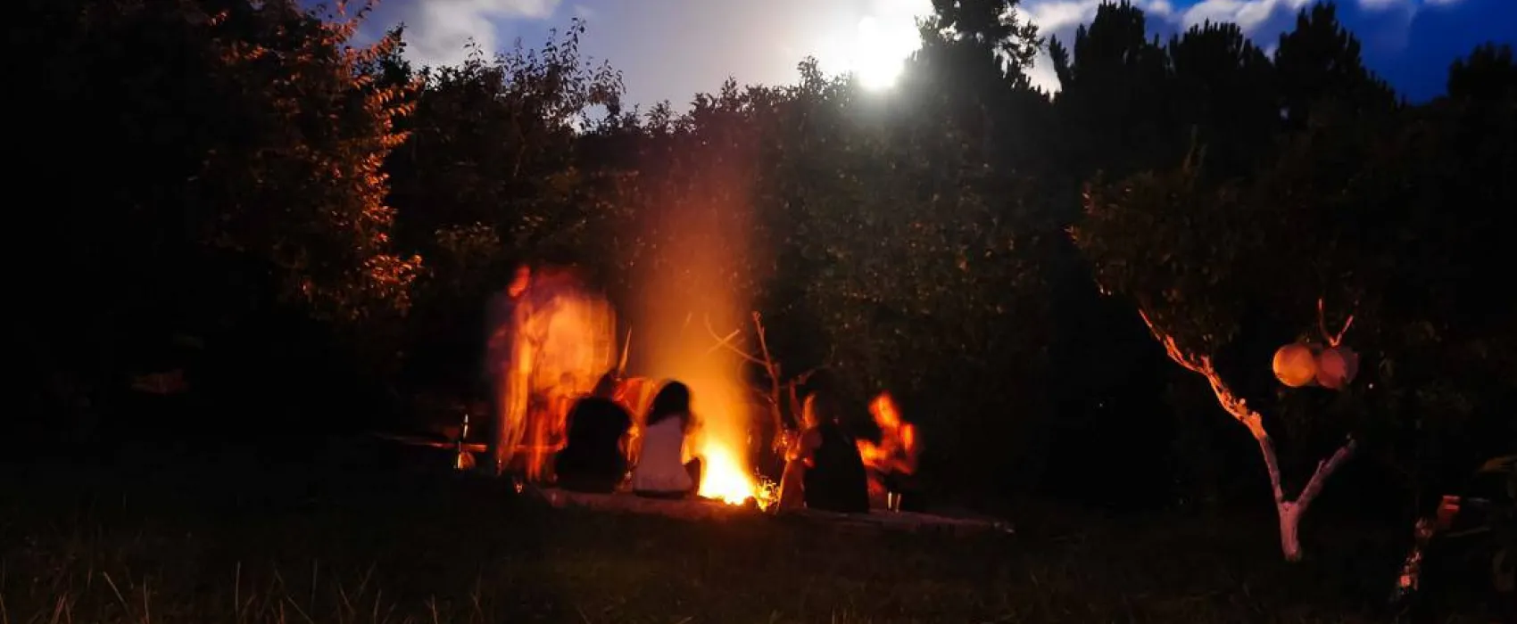 AbbyVille - Romantic Eco Camp