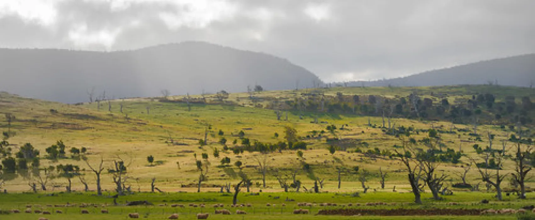 Lake Dulverton (Oatlands) Campground