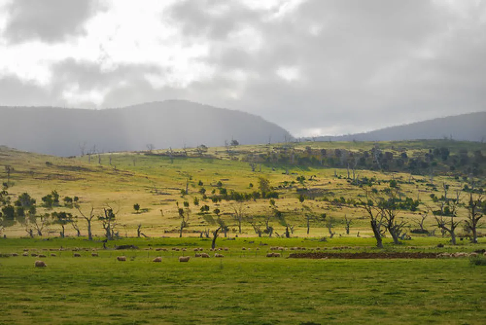 Lake Dulverton (Oatlands) Campground