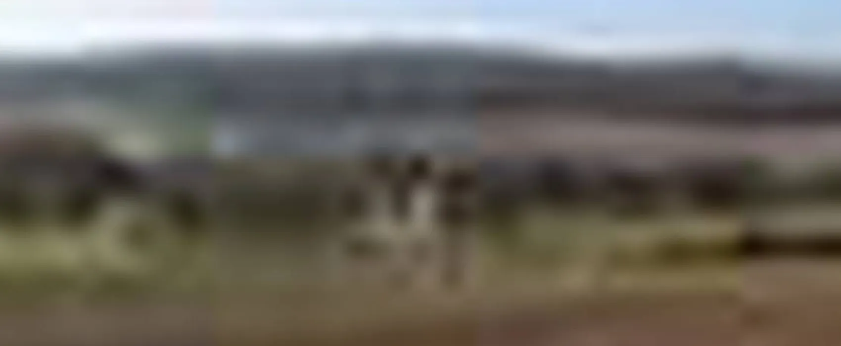 Camping Les Contes d'albret