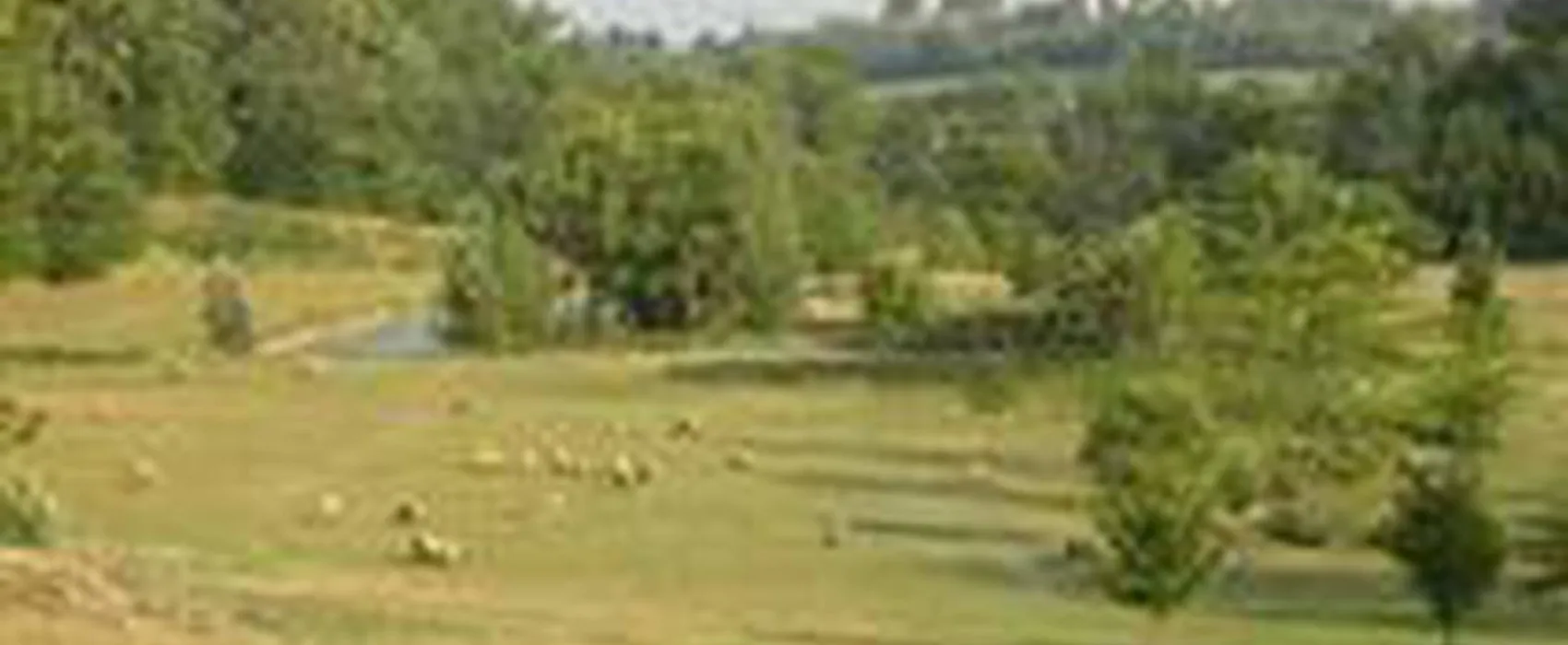 Camping Les Contes d'albret