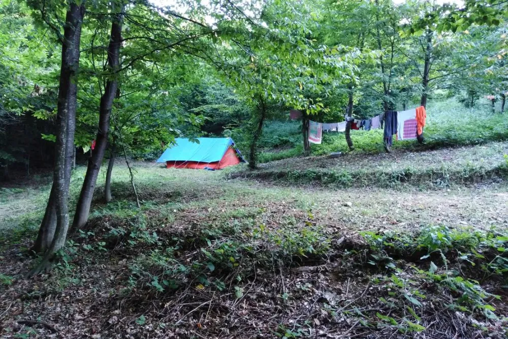 Camping Bogata Šuma - Rich Forest