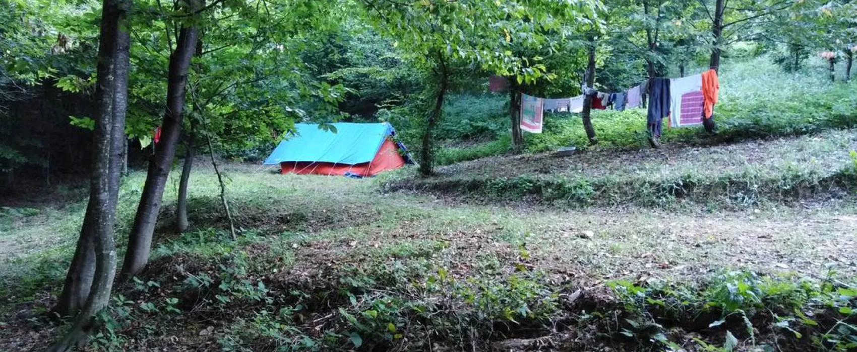 Camping Bogata Šuma - Rich Forest