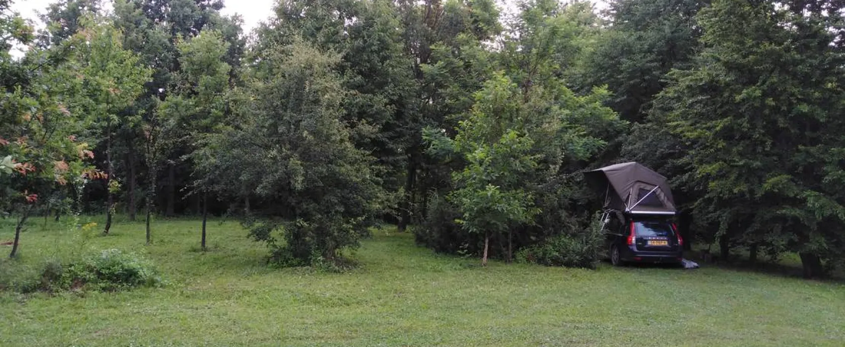 Camping Bogata Šuma - Rich Forest