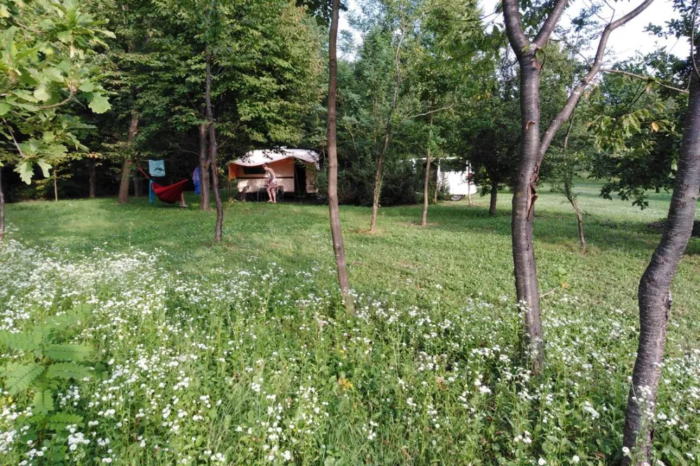 Camping Bogata Šuma - Rich Forest