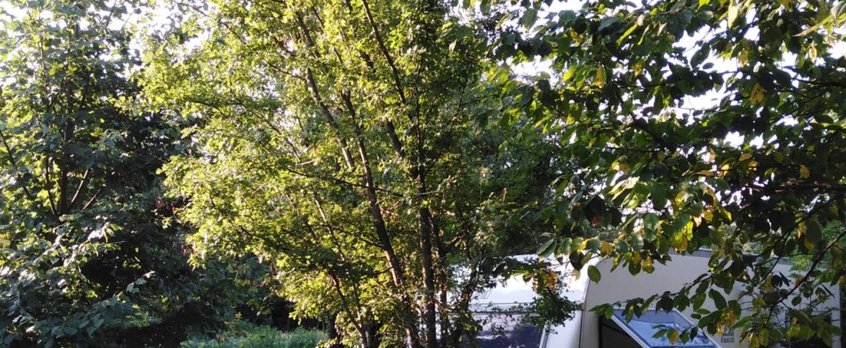 Camping Bogata Šuma - Rich Forest