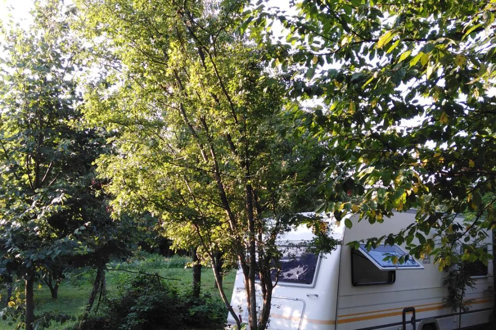 Camping Bogata Šuma - Rich Forest