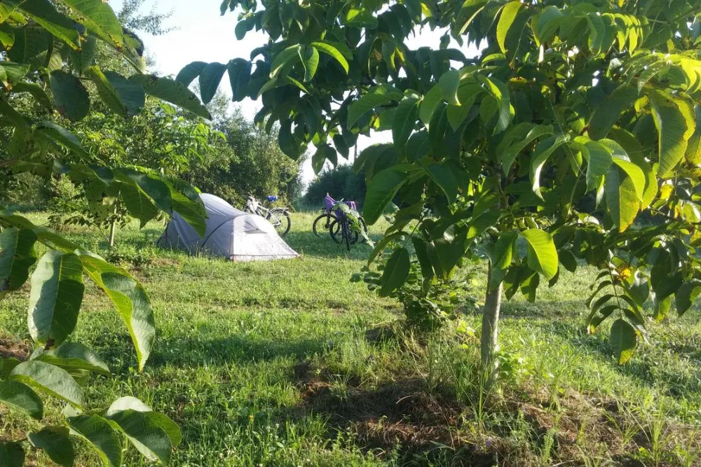 Camping Bogata Šuma - Rich Forest