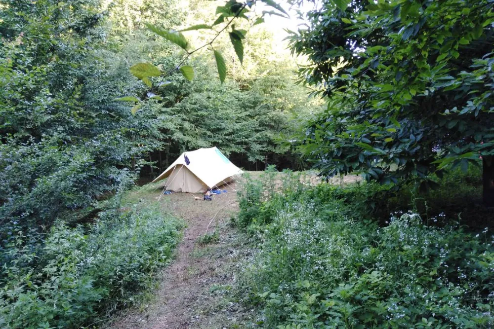 Camping Bogata Šuma - Rich Forest