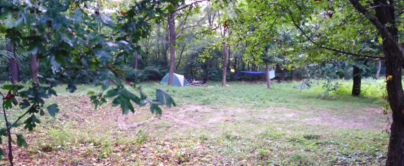 Camping Bogata Šuma - Rich Forest