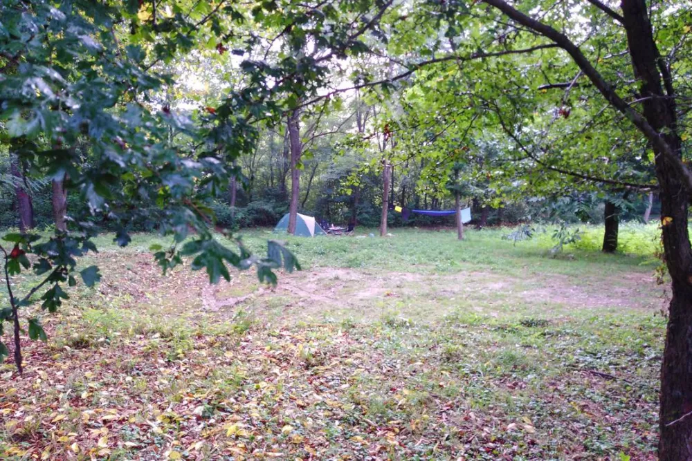 Camping Bogata Šuma - Rich Forest